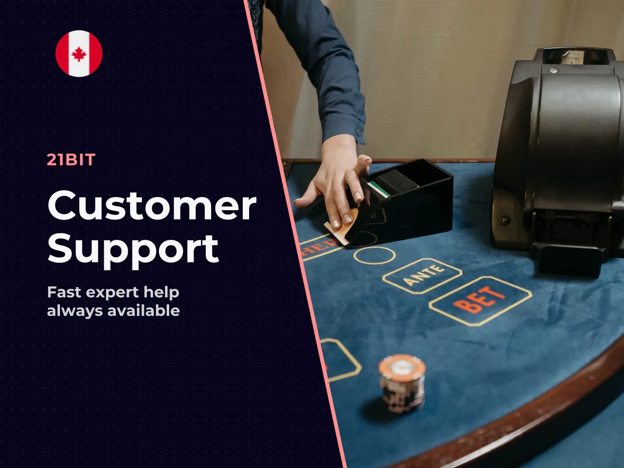 Support is English-language, and reviewers describe