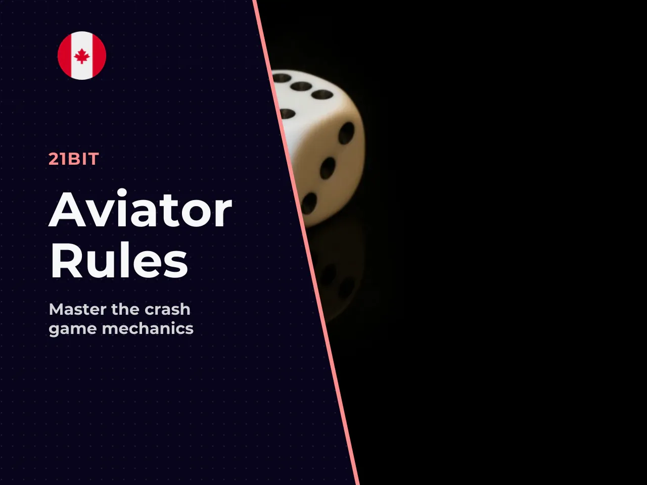 1.2. Plane, Multiplier, Bets, Cash Out