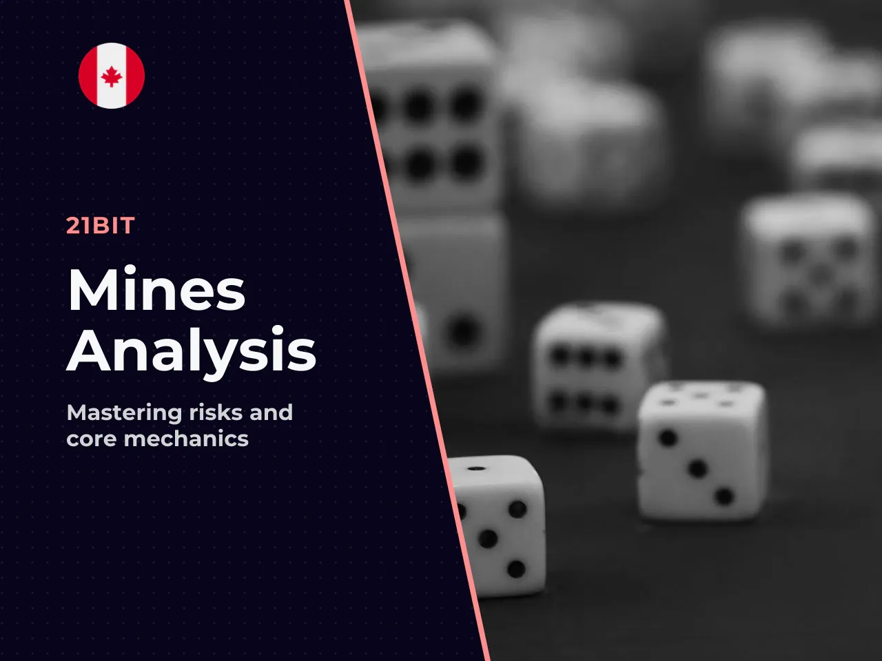 Conclusion Synthesis, Risk Assessment, and Research
